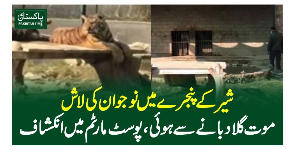 bahawalpur zoo