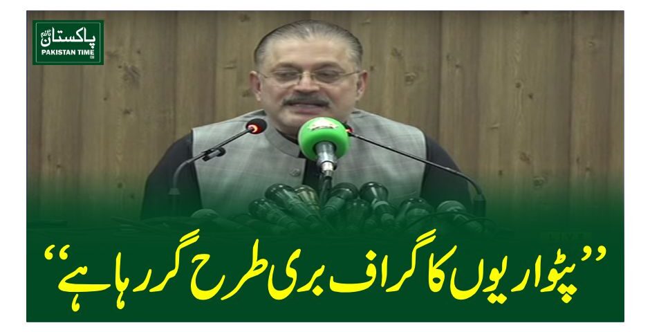 sharjeel memon