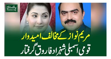 مریم نواز کے مخالف امیدوار قومی اسمبلی شہزاد فاروق گرفتار