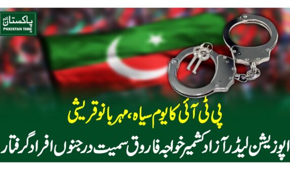 PTI leaders arrested as party marks 'Black Day' to protest 'rigged elections